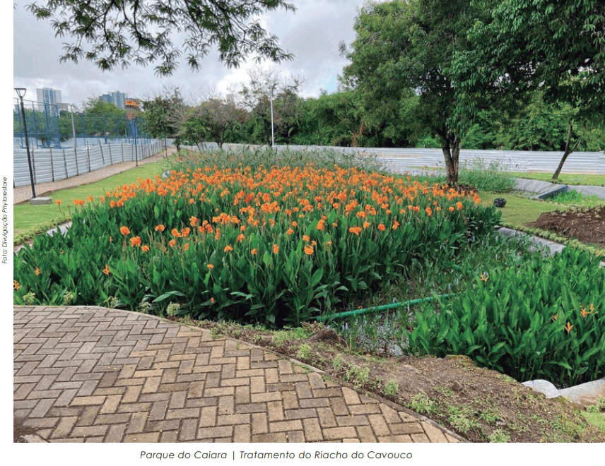 Saneamento e Jardins Filtrantes: uma solução inovadora para a crise ambiental e a seca dos rios no norte